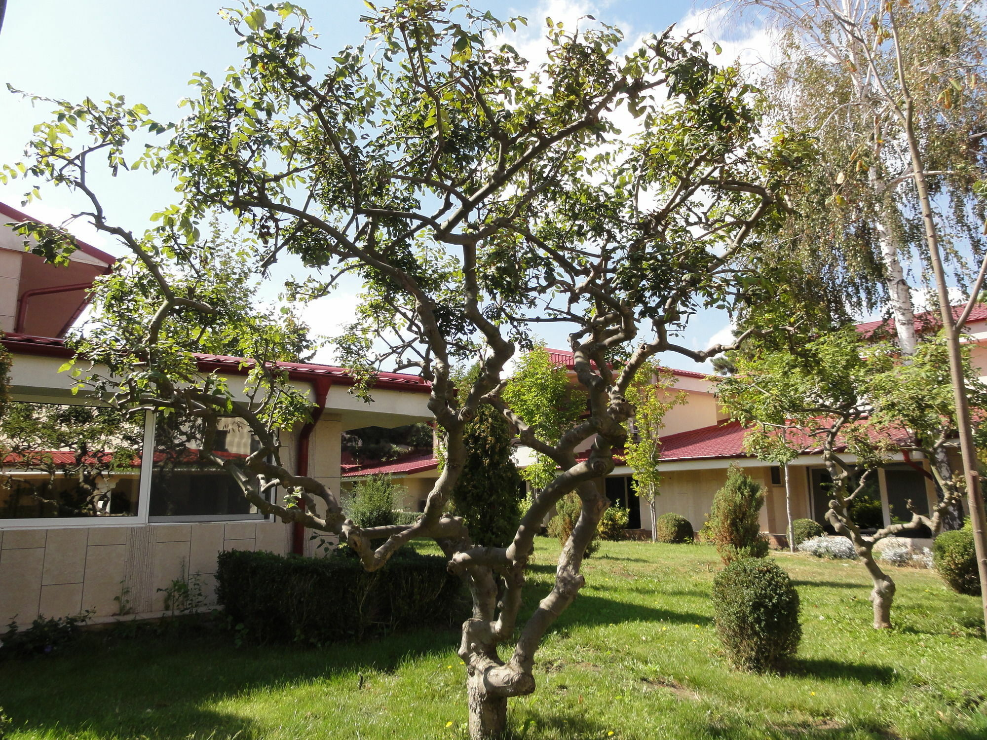 Vox Maris Grand Resort (Adults Only) Costinești Dış mekan fotoğraf